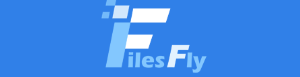 FilesFly Premium 90 days