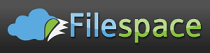 Filespace Premium 330 Days